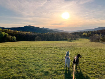 Scenic view of field against sky during sunset