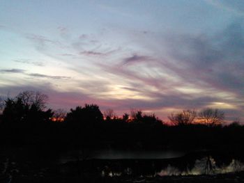 Silhouette of trees at sunset