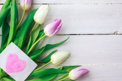 High angle view of pink tulips on table