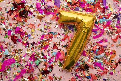 High angle view of plants