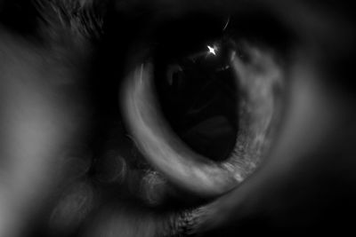 Close-up portrait of human eye