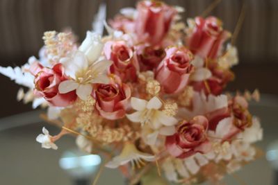 Close-up of flowers