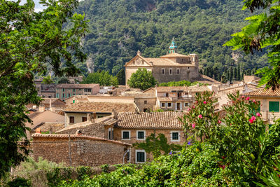 Buildings in town