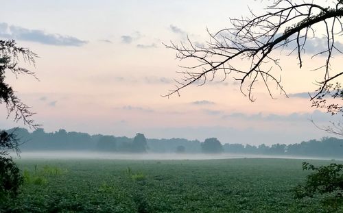 Scenic view of field against sky during sunset