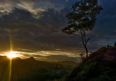 Silhouette tree against sky during sunset