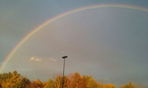 Low angle view of rainbow over trees
