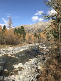 nature