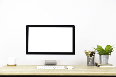 Potted plant on table against white background