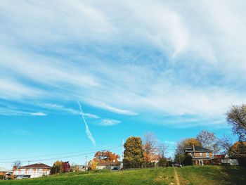 Low angle view of trees against sky