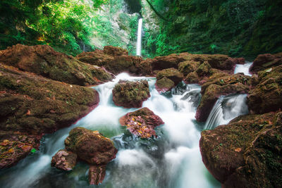Scenic view of waterfall in forest