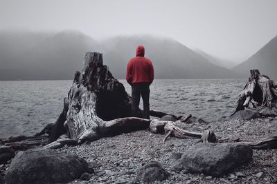 Rear view of man standing by driftwood at beach