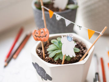 Hand drawn halloween 2021 decorations in pots witsucculent plants. ghost in medical protective mask.