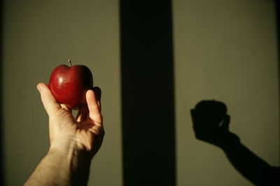 Close-up of hand holding apple