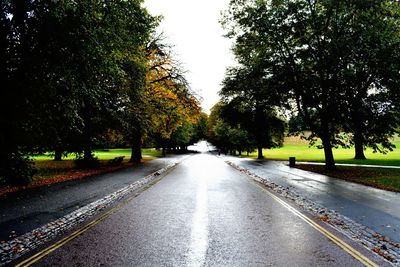 Road passing through trees