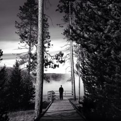 Rear view of people walking on footpath