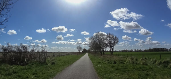 Trees on grassy field against cloudy sky