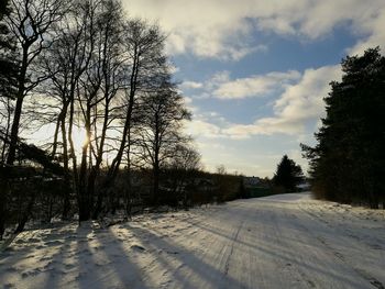 Trees on snow covered landscape against sky