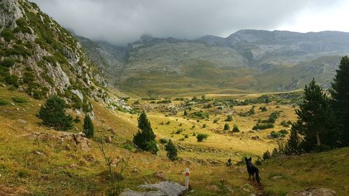 Scenic view of landscape and mountains against sky