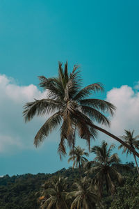 Low angle view of palm tree against sky