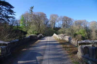 Footpath amidst trees against clear sky