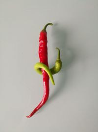 Close-up of red chili pepper against white background