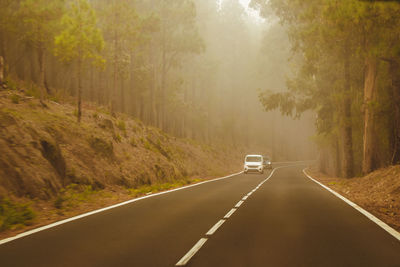 View of country road along trees