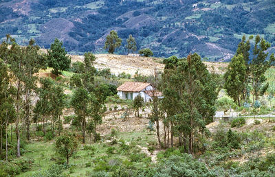 Framhouse outside  of boyacá, columbia, biggest market olace in south america