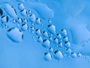 Close-up of water drops on blue background