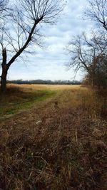 Bare trees on field against cloudy sky