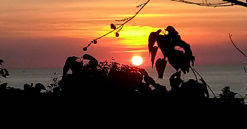 Silhouette people on beach against sky during sunset