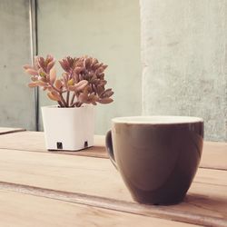 Close-up of flower pot on table