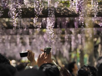 Close-up of hands photographing flowers