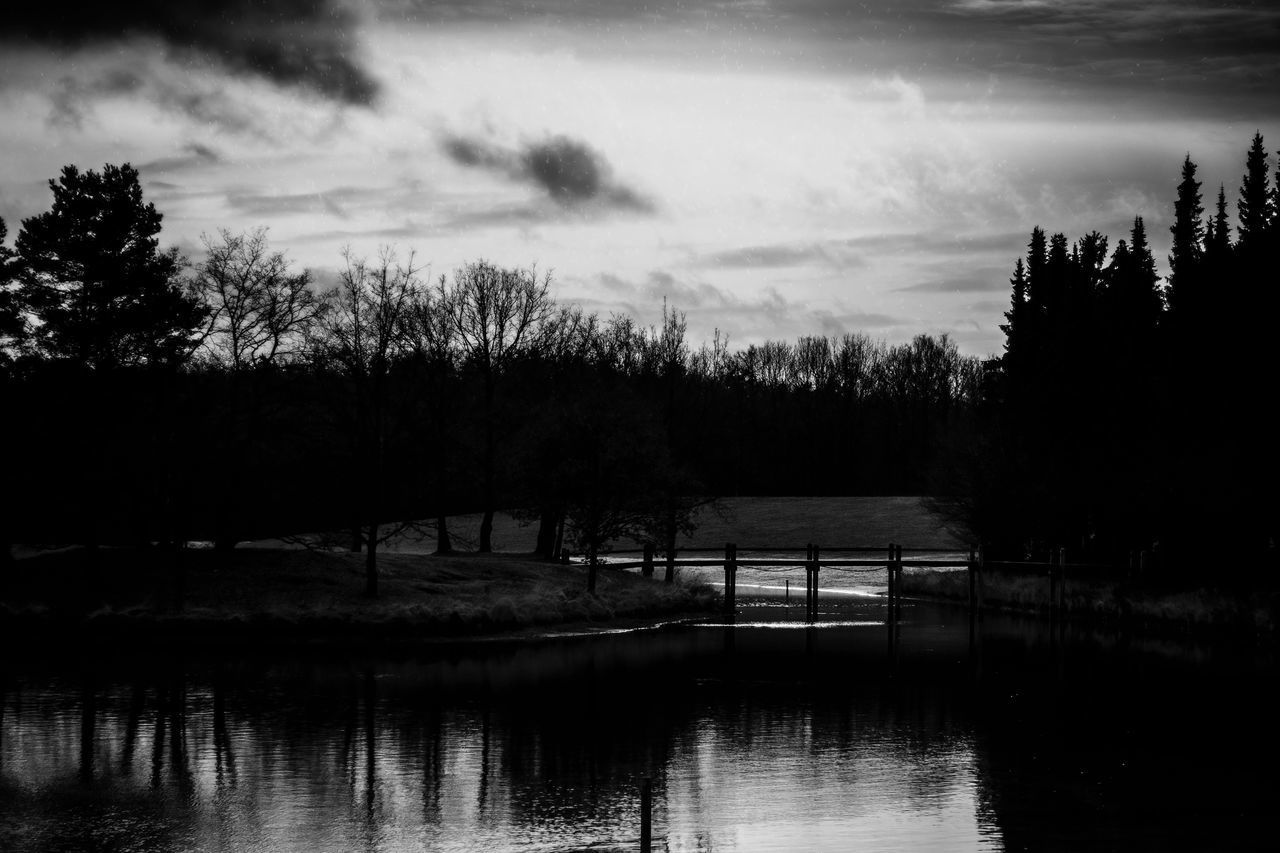 SILHOUETTE TREES BY LAKE AGAINST SKY