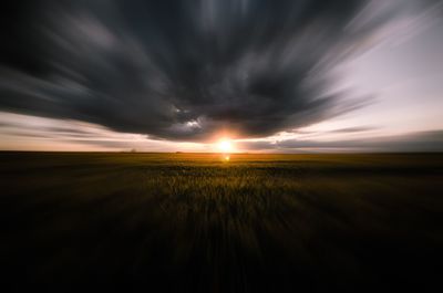 Scenic view of agricultural field against sky during sunset