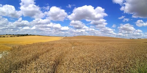 Scenic view of field against sky