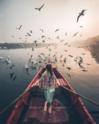 Low angle view of seagulls flying over lake