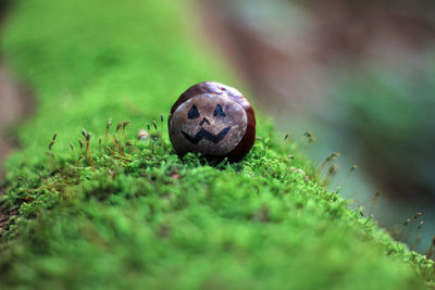 Close-up of small ball on grass