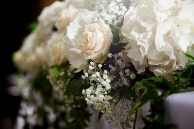 Close-up of white roses