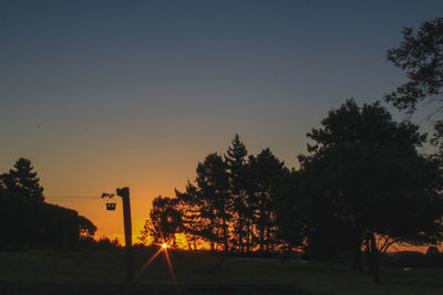 Silhouette trees on field against clear sky during sunset
