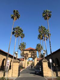 Low angle view of palm trees and buildings against blue sky