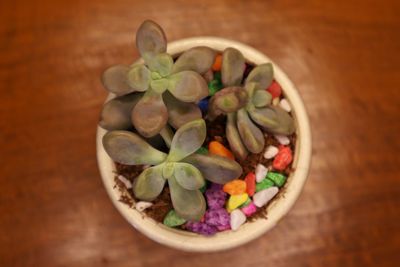 High angle view of vegetables in bowl on table