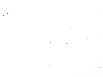 View of tree against sky