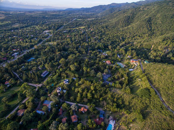 High angle view of trees on landscape