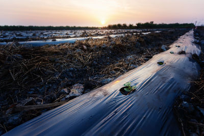 Scenic view of land against sky during sunset