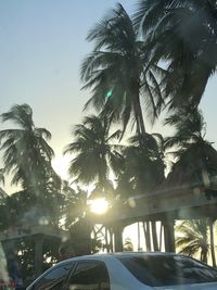 Low angle view of palm trees against clear sky