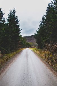 Road amidst trees against sky