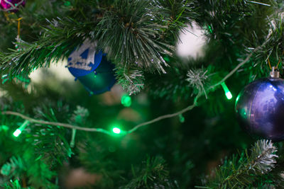 Defocused image of christmas tree