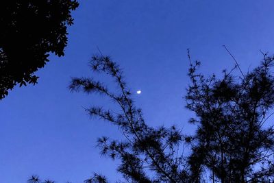 Low angle view of silhouette trees against clear blue sky