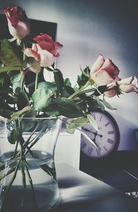 Close-up of flowers in vase