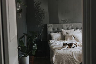 Double bed in modern bedroom